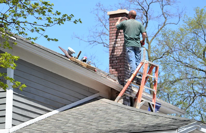 Chimney & Fireplace Inspections Services in Perrysburg, OH